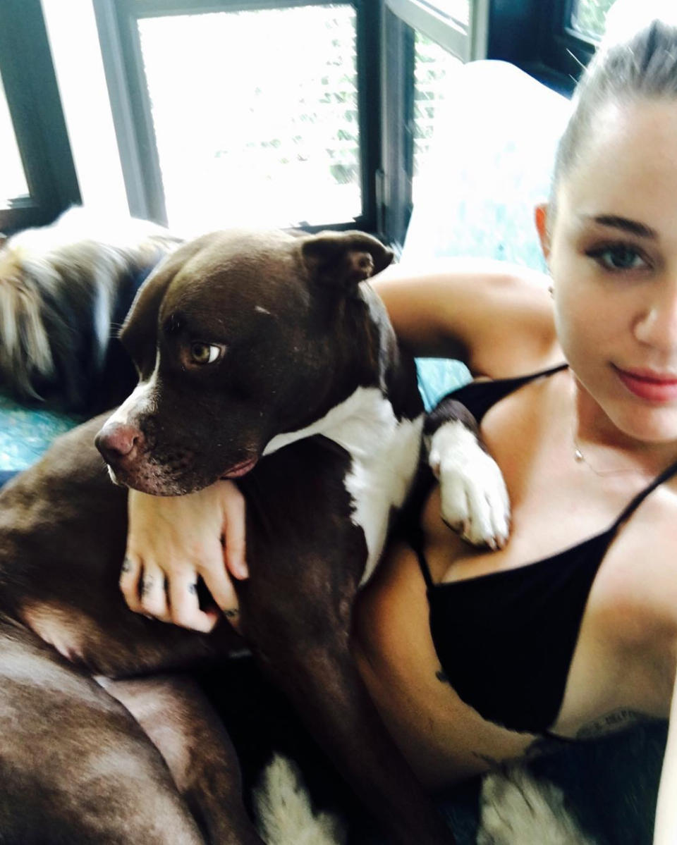 MILEY AND TANI (LIAM HEMSWORTH'S PUP)