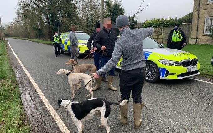 Over 40 hare coursing and poaching incidents were reported across Peterborough and Cambridgeshire in one week in January 2020 - Cambridgeshire Police