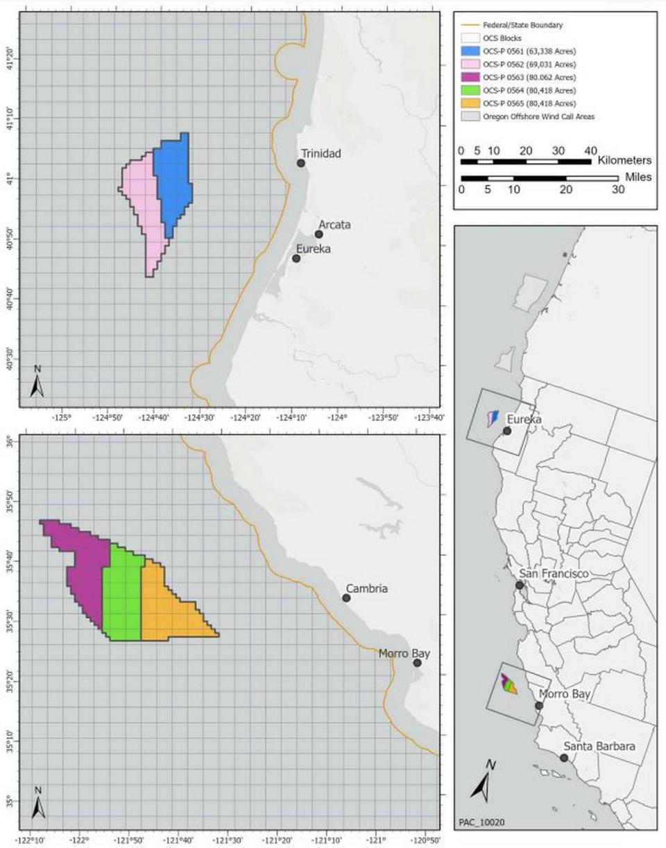 This map by BOEM shows where off the coast of California are the areas that floating offshore wind energy developers can bid to lease.