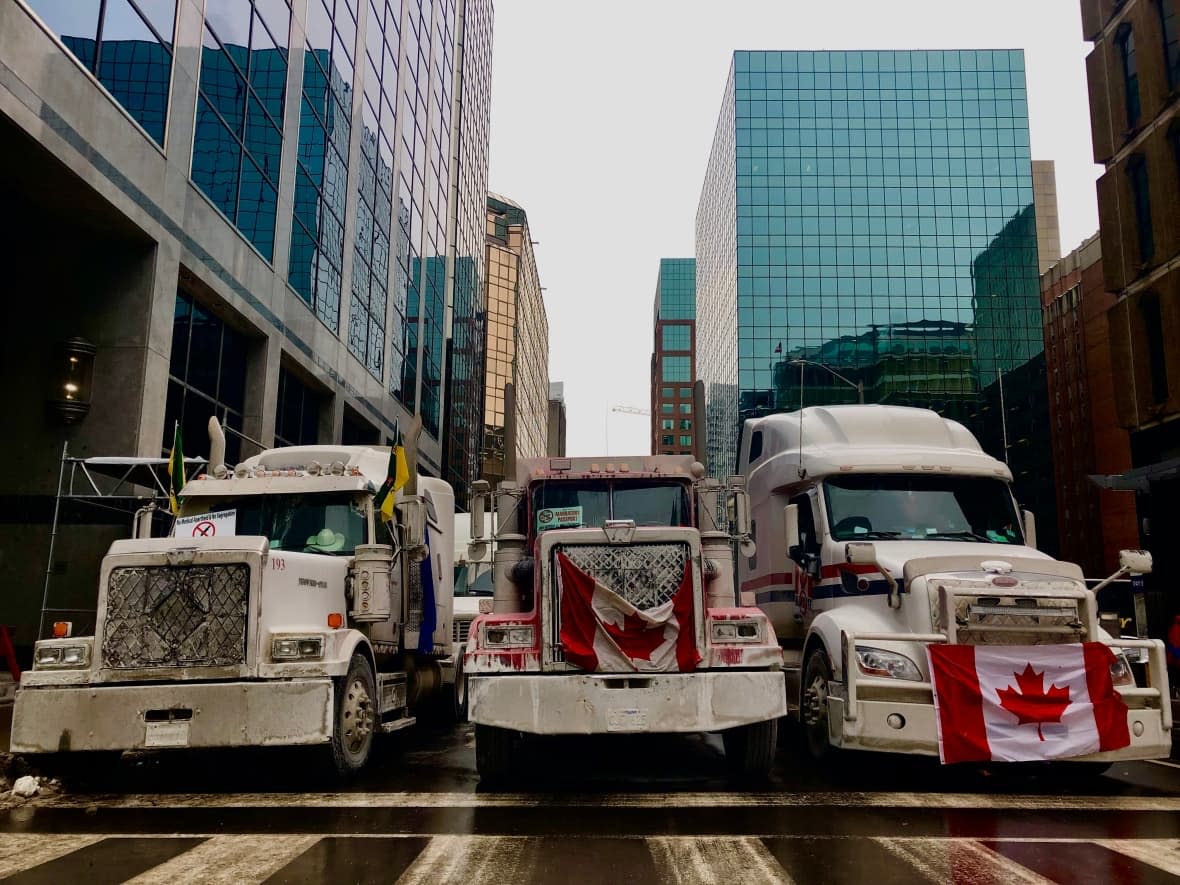 Trucks and protesters are entering their second week of demonstations in downtown Ottawa. (Christian Milette/CBC/Radio-Canada - image credit)
