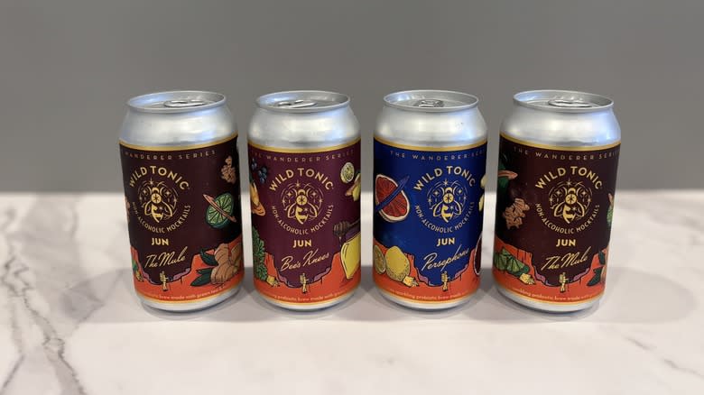 Wild Tonic canned drinks