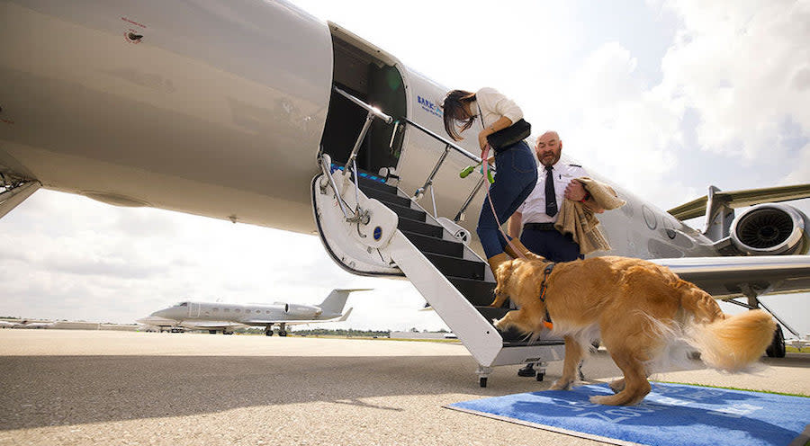 旅遊熱話｜全球首班「狗狗專屬航空」！機上可自由活動 免海關程序、設主子專屬貴賓室/飛行包/餐飲