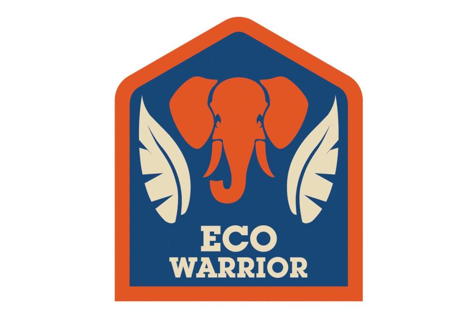 Illustration of an "Eco Warrior" badge