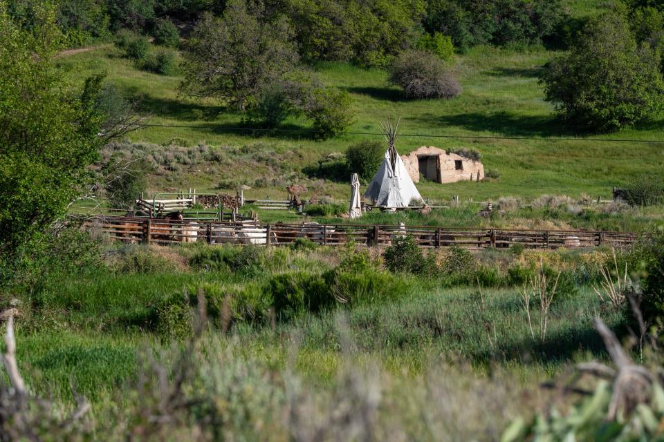 A stable of horses on a ranch in Colorado.