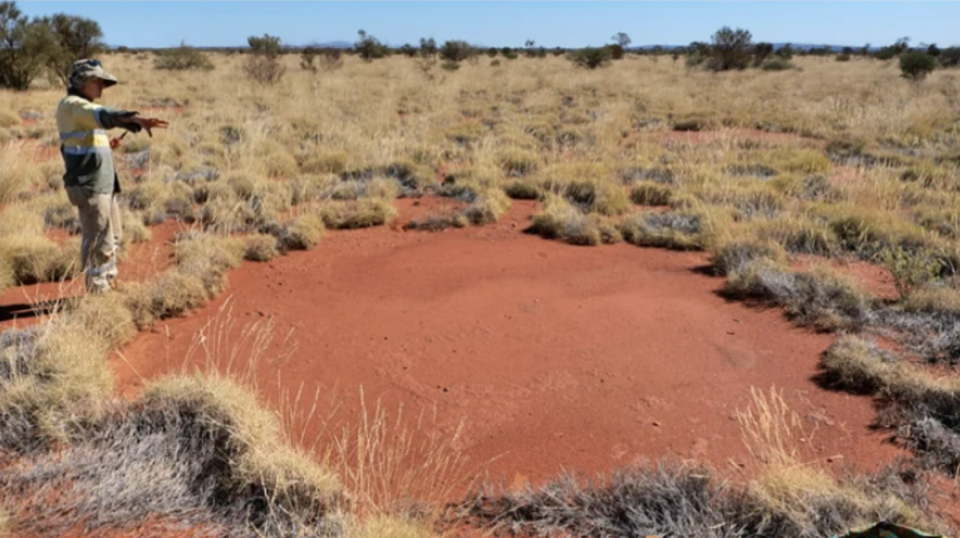 A ‘fairy circle’ pavement.