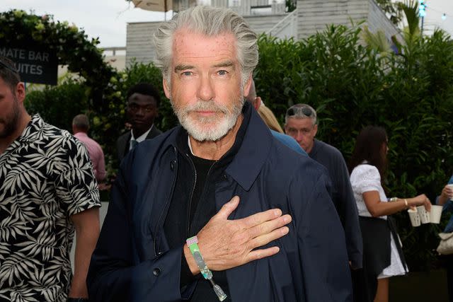 <p>Dave Hogan/Hogan Media/Shutterstock</p> Pierce Brosnan