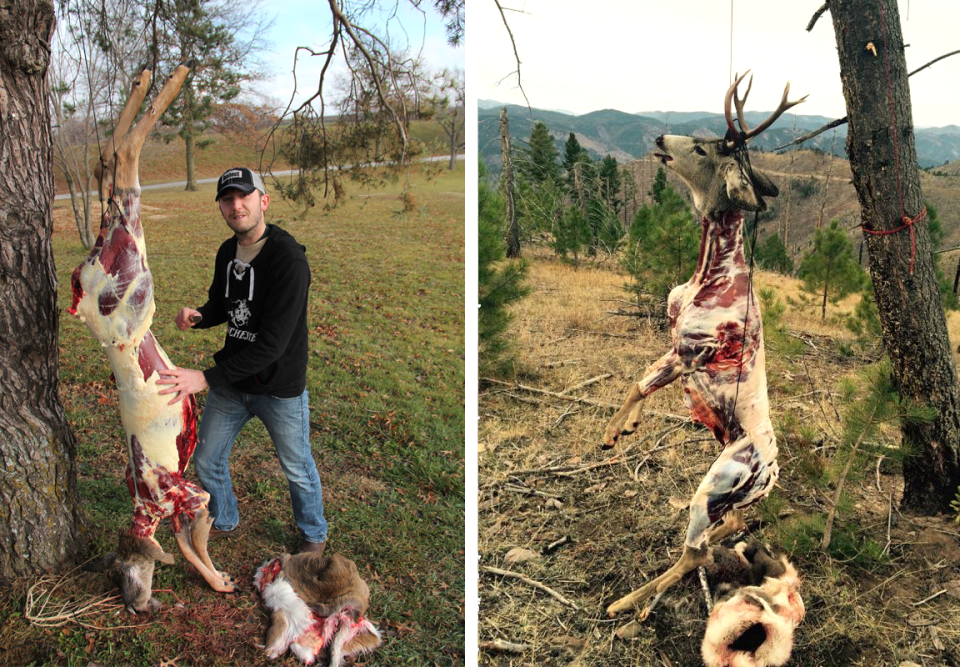 As you can see from these two pictures, the front legs of the deer stick out unnaturally when hung head-down. This can make it difficult to yank the hide over the knees of the forelegs.