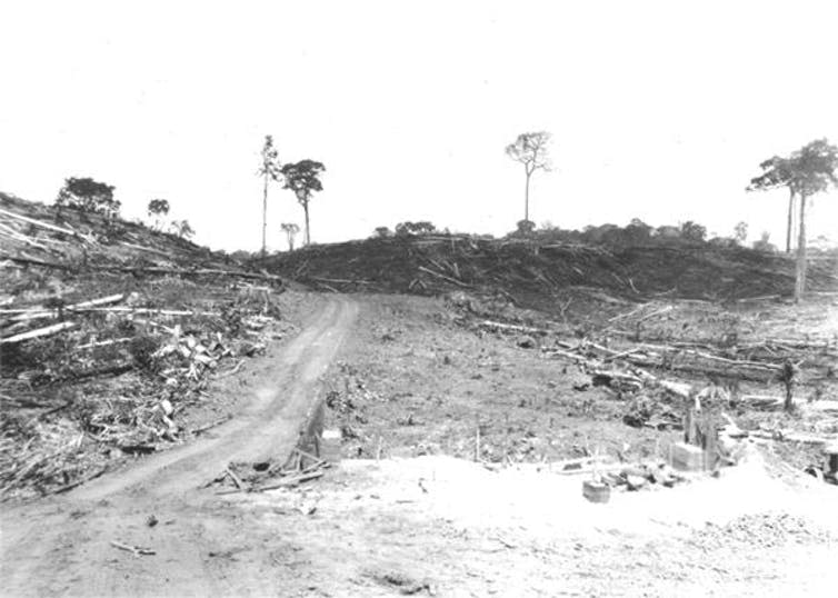 <span class="caption">Fordlândia required the Ford Motor Company to ‘develop’ significant areas of rainforest.</span> <span class="attribution"><a class="link " href="https://www.thehenryford.org/collections-and-research/digital-resources/popular-topics/brazilian-rubber-plantations/" rel="nofollow noopener" target="_blank" data-ylk="slk:The Henry Ford Collection;elm:context_link;itc:0;sec:content-canvas">The Henry Ford Collection</a></span>