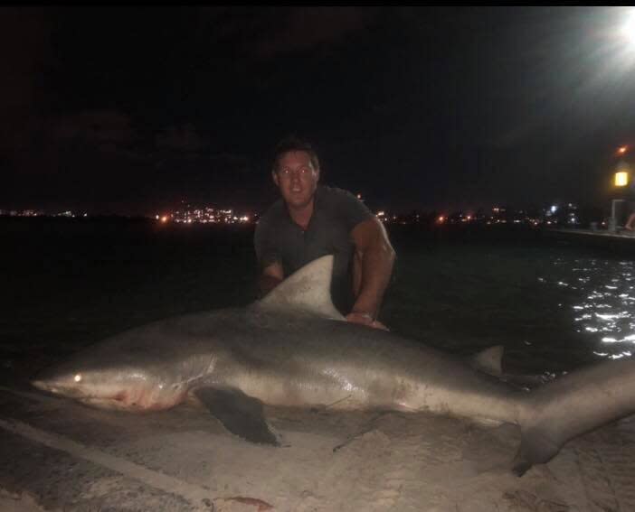 Rob Johnston posing with the shark at the opening of the Maroochy River he estimates was over two metres in length.