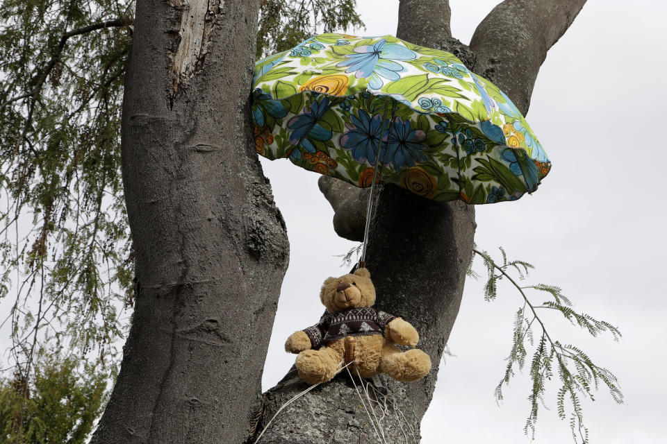 In this Saturday, March 28, 2020, photo, a teddy bear sits under an umbrella in a tree outside a house in Christchurch, New Zealand. New Zealanders are embracing an international movement in which people are placing teddy bears in their windows during coronavirus lockdowns to brighten the mood and give children a game to play by spotting the bears in their neighborhoods. (AP Photo/Mark Baker)