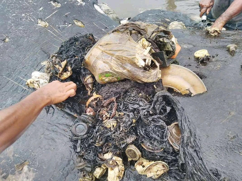 Plastic items from a whale's belly are seen in Wakatobi