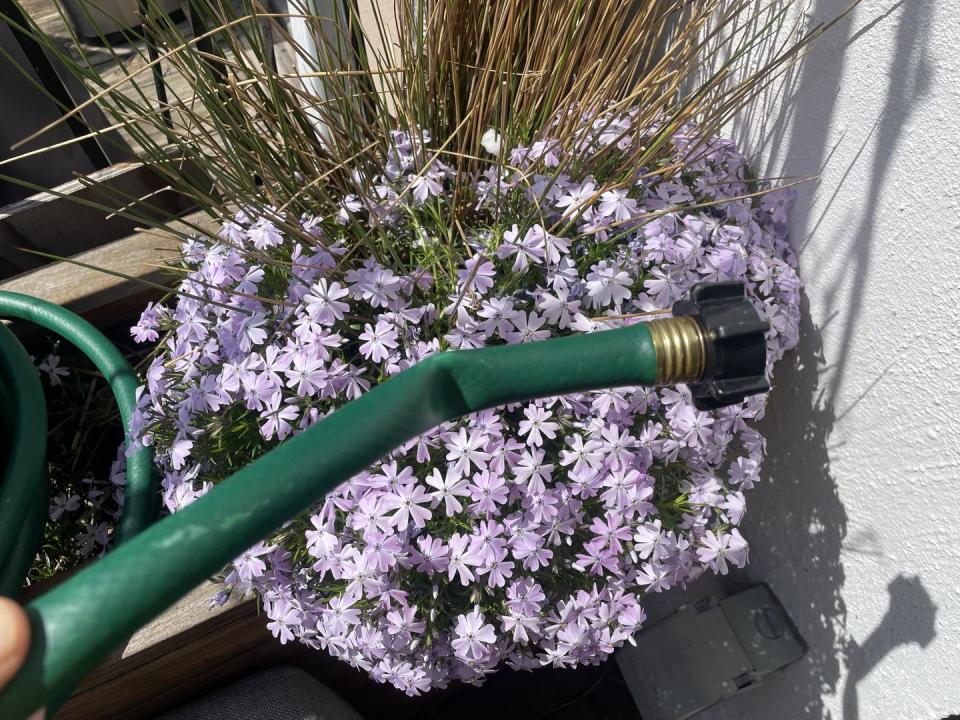 These Top-Tested Garden Hoses Won't Tangle or Spring a Leak