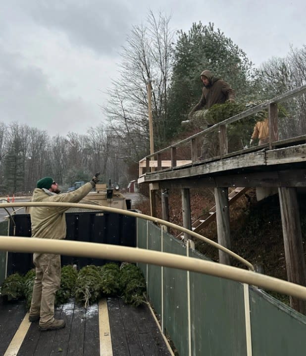 Soldiers with the Pennsylvania Army National Guard’s 228th Motor Transportation Battalion gather Christmas trees from supporting farms across central Pennsylvania and transport them to a centralized location for easy distribution to veterans and Pennsylvania National Guard service members as part of the PA Trees 4 PA Heroes program. (Courtesy Photo)