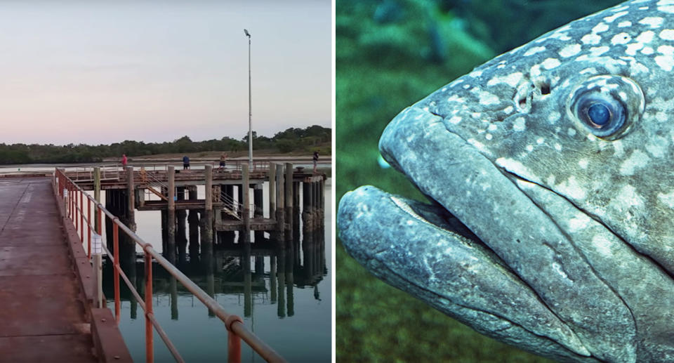 Seisa Wharf in Cape York, Queensland, pictured alongside grouper after one pulled boy under water.