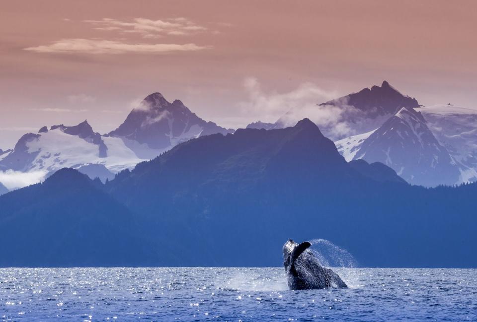 Kenai Fjords National Park, Alaska