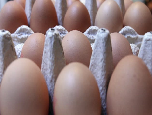 Ten eggs ready for action (Sean Gallup/Getty Images)