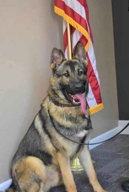 Horus had been with the department for three years. Savannah Missouri Police Department / Facebook