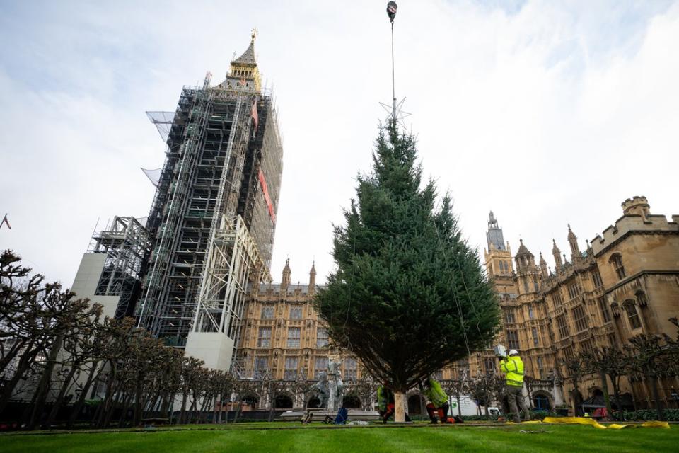 Workers position the Parliament Christmas tree, felled earlier this week in Northumberland (PA) (PA Wire)