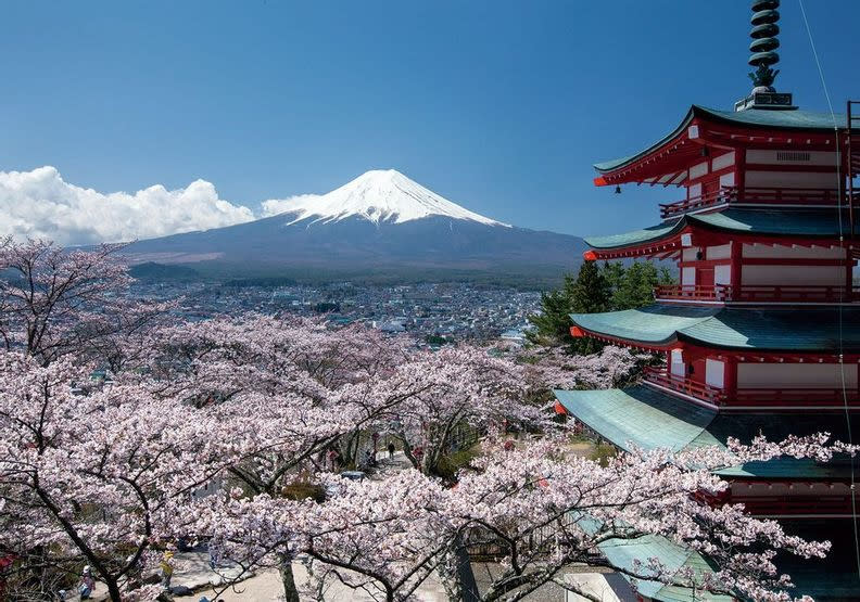 富士山、櫻花、寺院是日本最經典的文化。gowithguide