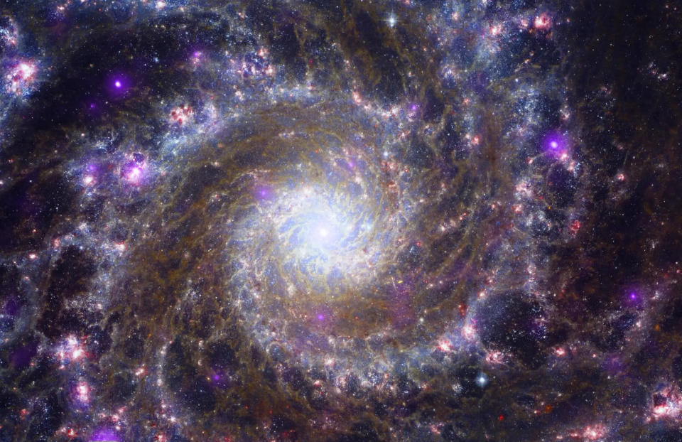 Messier 74, der wegen seiner geringen Helligkeit den Spitznamen "Phantomgalaxie" trägt, erwachte zum Leben, als Chandra neben den Beobachtungen von Hubble und Webb auch seine Röntgenaktivität (lila) aufdeckte.  - Copyright: X-ray: NASA/CXC/SAO; Optical: NASA/ESA/STScI; IR NASA/ESA/CSA/STScI, J. Lee and the PHANGS-JWST Team; Image Processing: N. Wolk and K. Arcand