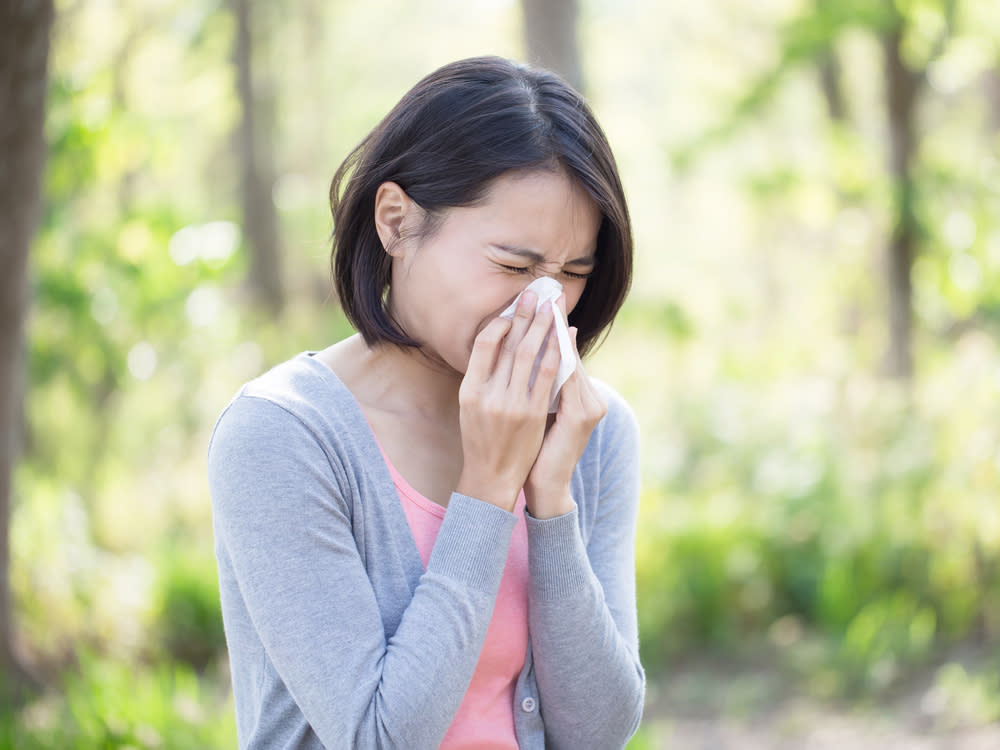 Niesen und Schnupfen sind typische Symptome einer Pollenallergie. (Bild: aslysun/Shutterstock.com)
