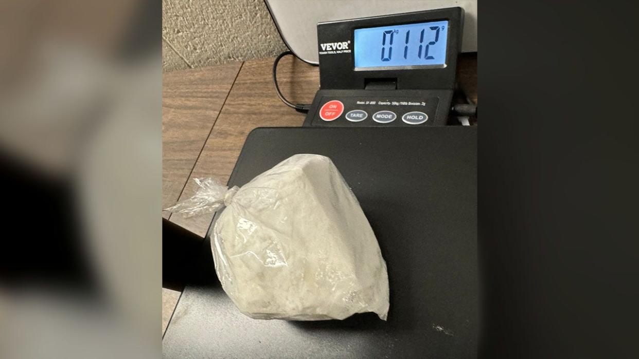 <div>Cocaine found during I-41 traffic stop (Courtesy: FDLCSO | Facebook)</div>