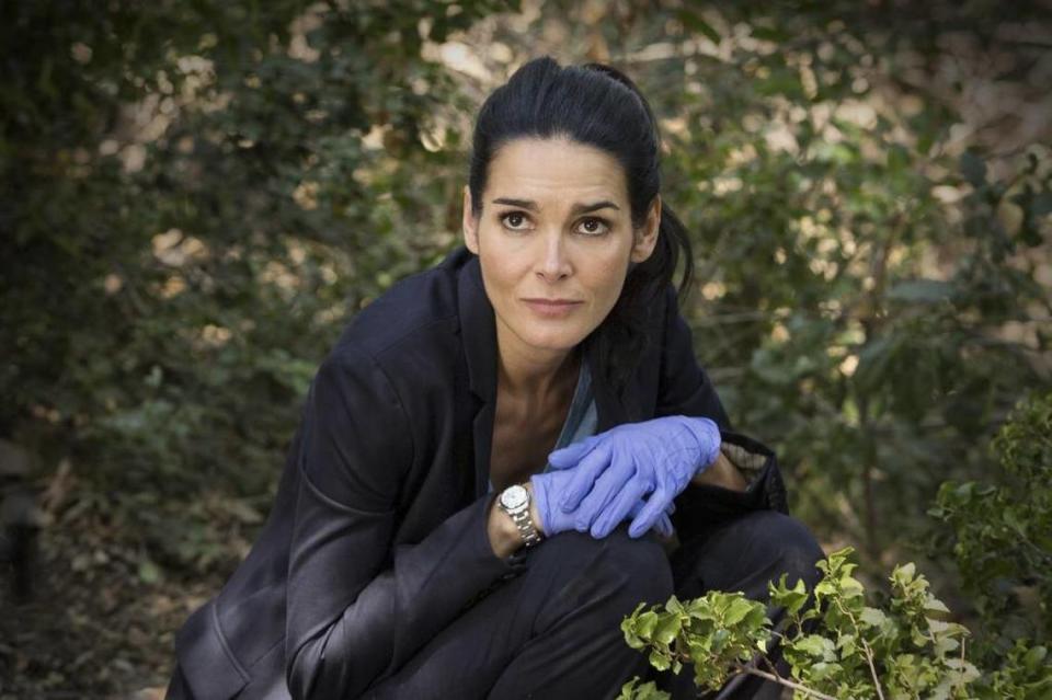 Actress Angie Harmon said on social media that a food delivery driver shot and killed her family dog over Easter weekend at her home in the Charlotte, NC area. Harmon is seen here in a file picture starring in the former TNT series as Jane Rizzoli in “Rizzoli & Isles.”