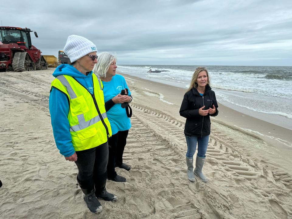 Suzanne Thurman, director of the Marine Education, Research & Rehabilitation Institute, talks about a fin whale beached in Delaware Seashore State Park on May 5, 2024.