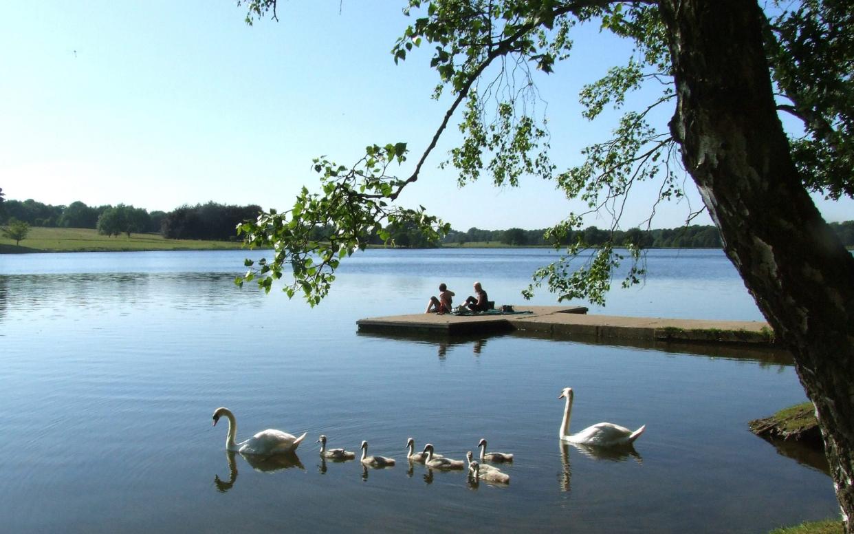 tatton park - Tatton Park