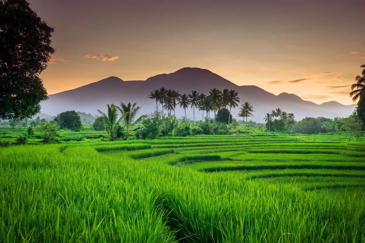 The ban applies to 22 mountains in Bali (Getty Images/iStockphoto)