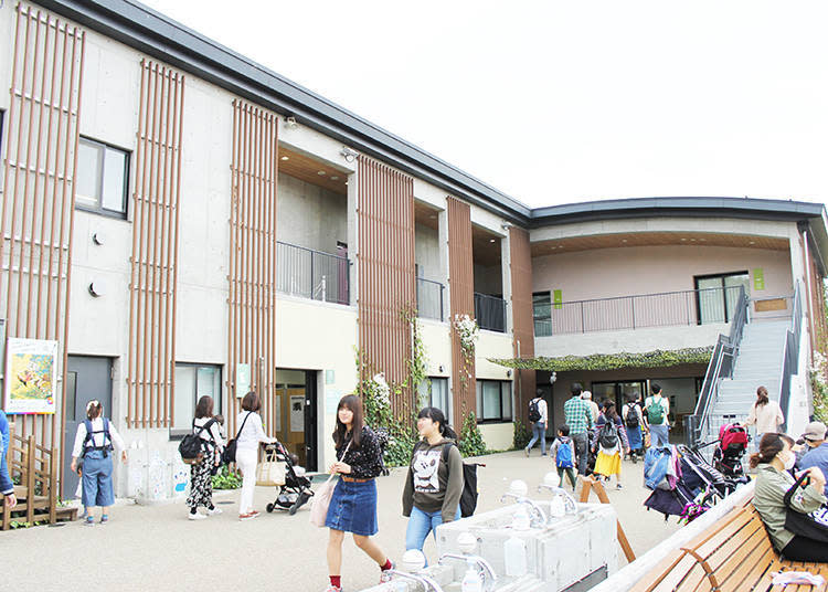 這裡是「兒童動物園STEP」裡的「STEP館」