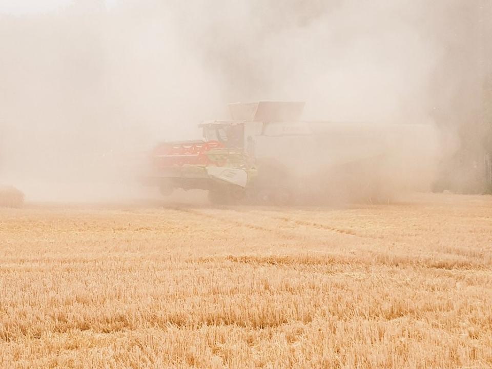 Andrew Francis’s farm in Norfolk (Andrew Francis/PA)