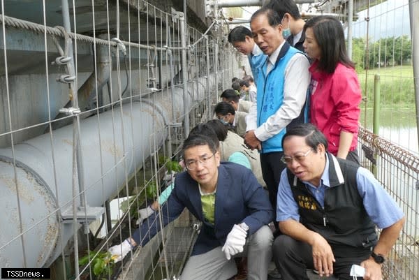 跨越宜蘭河岸慶和橋提供人行的津梅棧道，是嶄新體驗的遊走城市方式及散步遊憩的打卡景點。宜蘭市長江聰淵偕同公所主管共同植栽抗旱性強的百香果。（記者董秀雲攝）