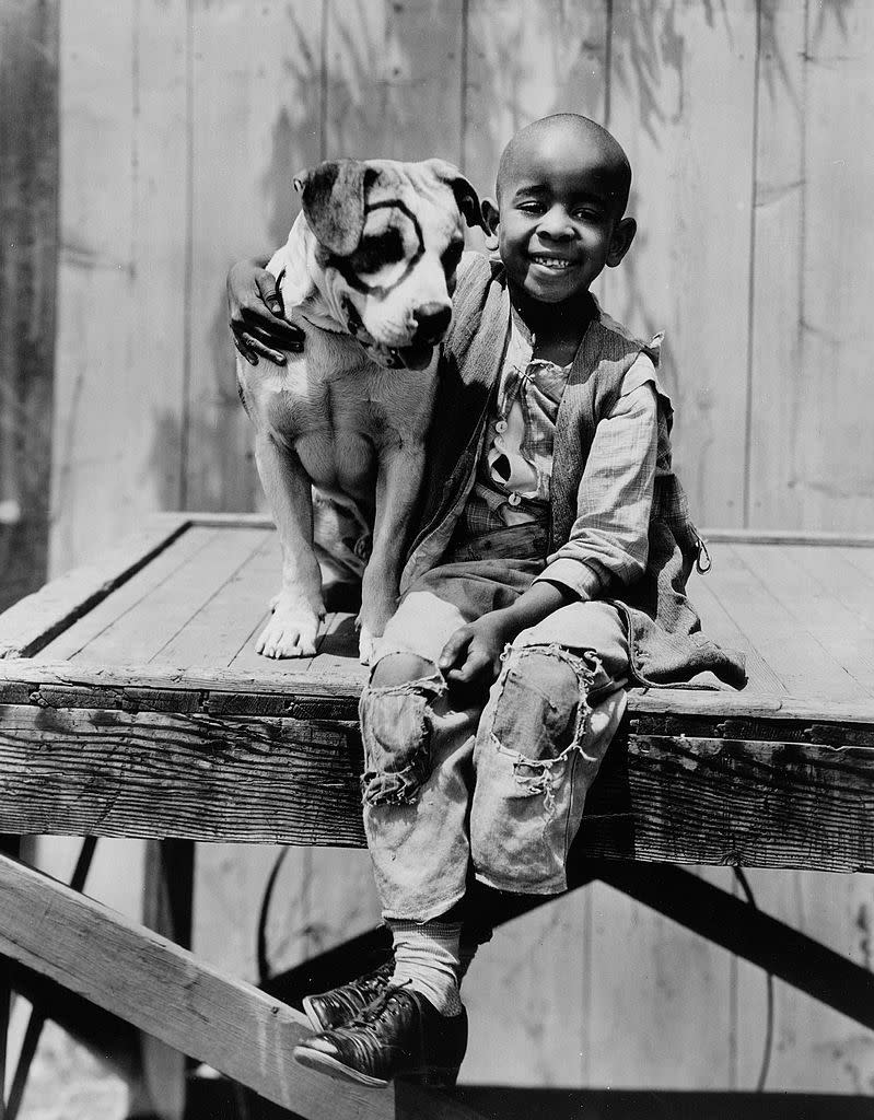 Petey in 'The Little Rascals'