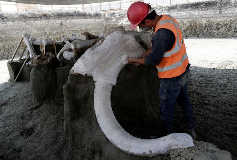 A worker of Mexico's National Institute of Anthropology and History (INAH) works at a site where more than 100 mammoth skeletons have been identified, along with a mix of other ice age mammals, in Zumpango