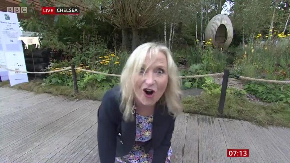 She dusted herself down and appeared to emerge unscathed from the incident (BBC Breakfast)