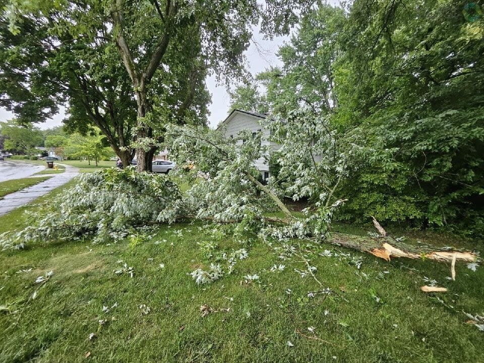 Storm Damage Across Miami Valley