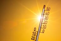 <p>Klar, verglichen mit tropischen oder subtropischen Regionen ist es in Deutschland meist relativ kalt. Doch im Sommer können wir auch hierzulande Temperaturen jenseits der 40-Grad-Marke erreichen. Am 5. und am 7. August 2015 etwa wurden im fränkischen Kitzingen 40,3 Grad Celsius gemessen. (Bild: iStock / Xurzon)</p>