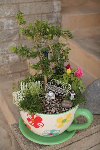 Teacup & Saucer Mini Garden