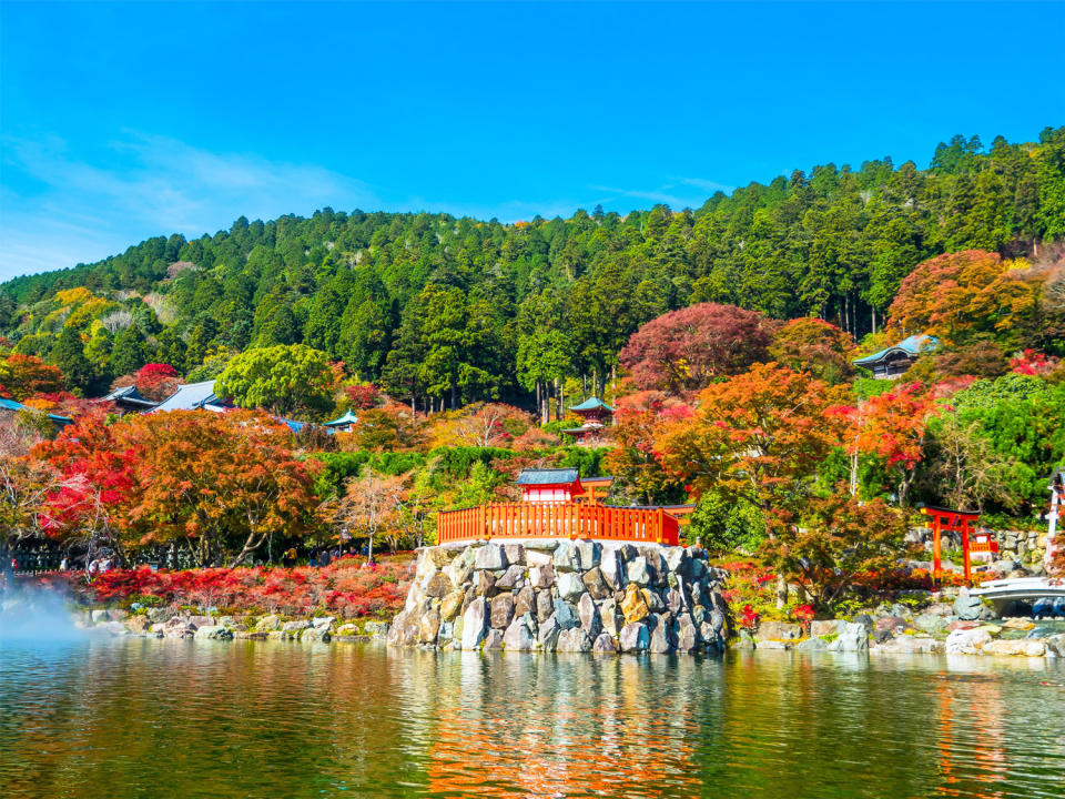 日本紅葉2022丨9大隱世紅葉景點推介！福岡寶滿宮竈門神社/岩手中尊寺/奈良岡寺/長野松原湖