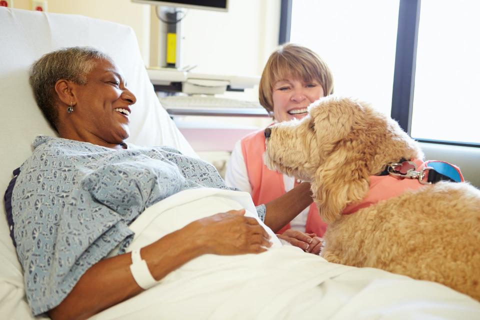 <span class="caption">Palliative care involves discussing what matters most to a patient’s quality of life, such as being able to care for their pets.</span> <span class="attribution"><a class="link " href="https://www.gettyimages.com/detail/photo/pet-therapy-dog-visiting-senior-female-patient-in-royalty-free-image/465505909?adppopup=true" rel="nofollow noopener" target="_blank" data-ylk="slk:monkeybusinessimages/iStock via Getty Images Plus;elm:context_link;itc:0;sec:content-canvas">monkeybusinessimages/iStock via Getty Images Plus</a></span>