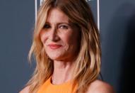 FILE PHOTO: Laura Dern at the 25th Critics Choice Awards