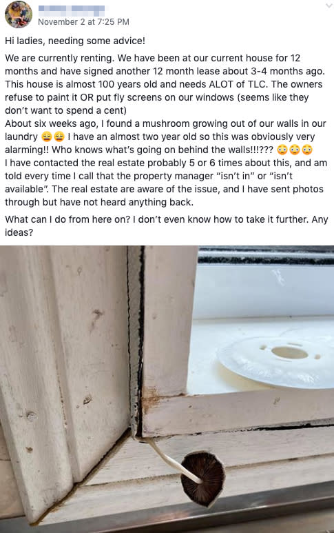 The Facebook post showing the mushroom growing from the window frame inside the house. Source: Facebook