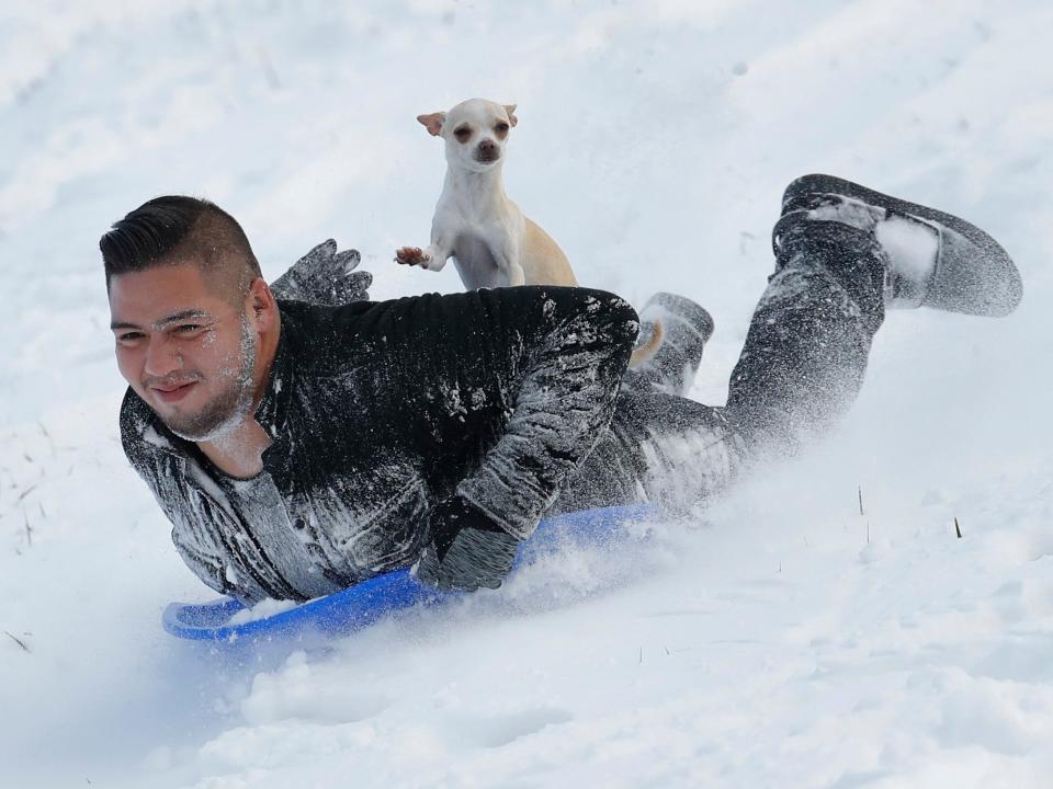 "Dogsledding" in Kansas City, Kansas.