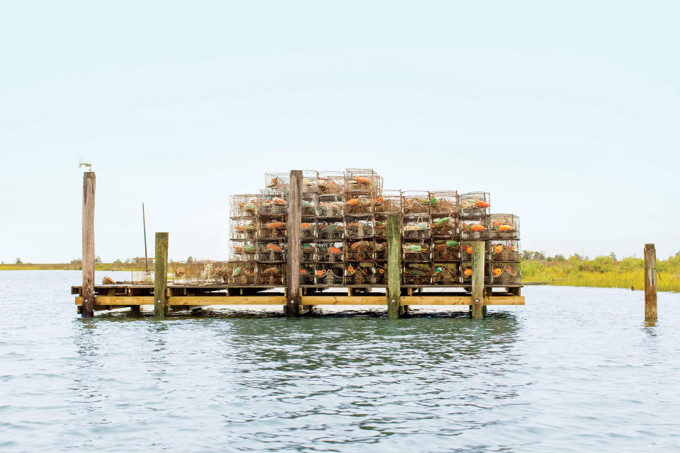 Tools of the crabbing trade on Smith Island