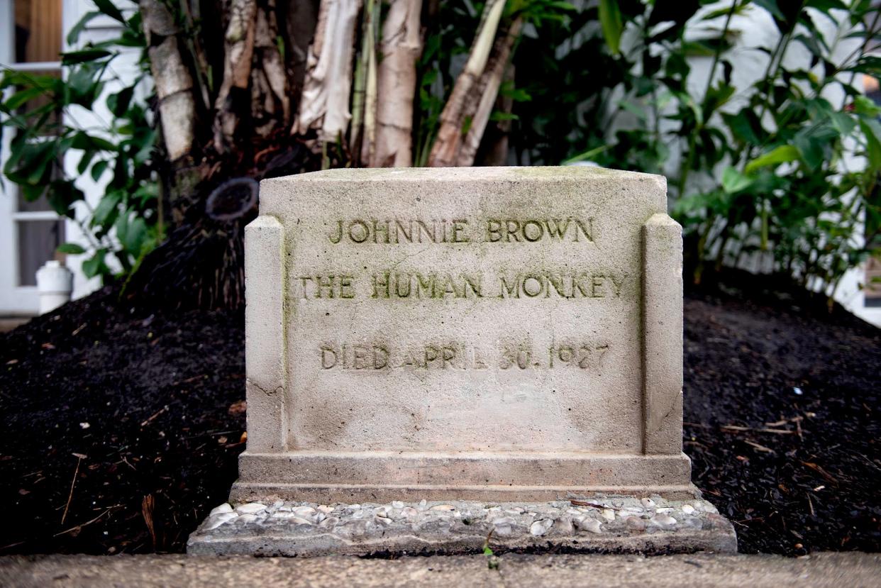 The grave of Johnnie Brown, the pet spider monkey of Addison Mizner, is located in Via Mizner.