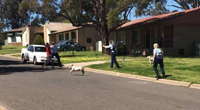 A photo uploaded to social media shows a police officer with a pistol drawn and pointed at a dark skinned man in a red shirt. Photo: Facebook