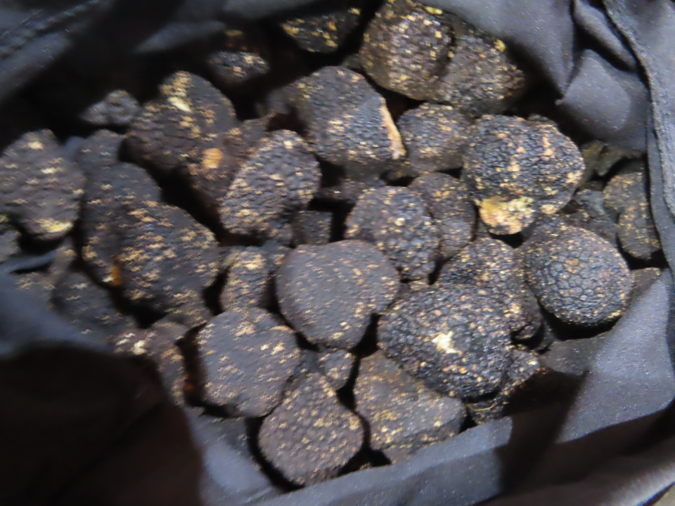 新鮮黑松露(FRESH SUMMER TRUFFLES (TUBER AESTIVUM VITT))