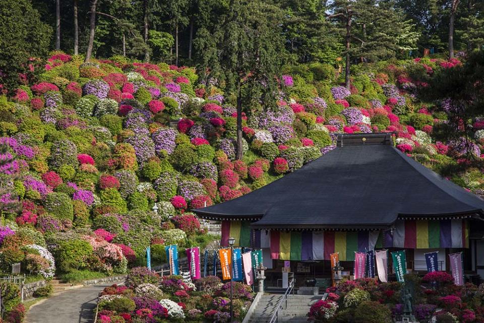 鹽船觀音寺（Photo by John S Lander/LightRocket, Image Source : Getty Editorial）