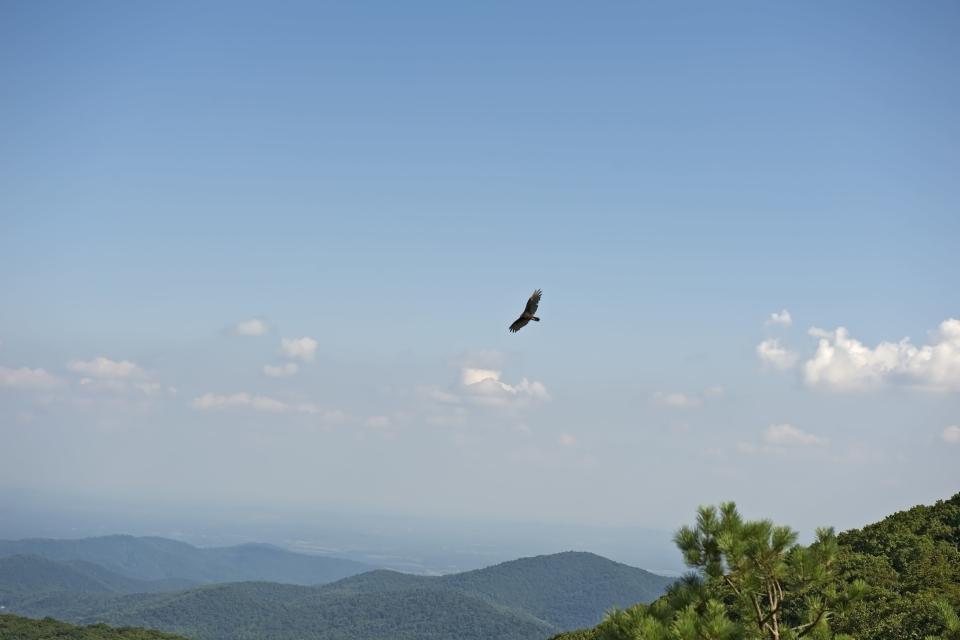 Blue Ridge Parkway